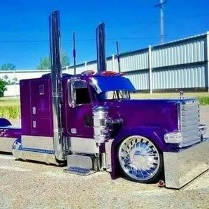 Meet your Posher, Rodriques